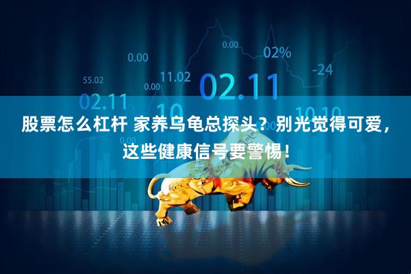 股票怎么杠杆 家养乌龟总探头？别光觉得可爱，这些健康信号要警惕！