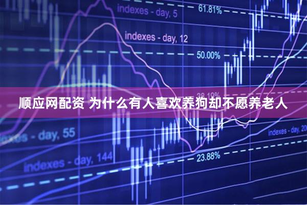 顺应网配资 为什么有人喜欢养狗却不愿养老人