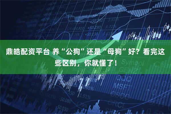 鼎皓配资平台 养“公狗”还是“母狗”好？看完这些区别，你就懂了！