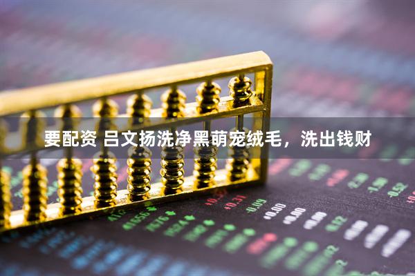 要配资 吕文扬洗净黑萌宠绒毛，洗出钱财