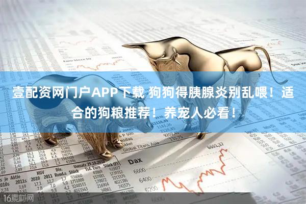 壹配资网门户APP下载 狗狗得胰腺炎别乱喂！适合的狗粮推荐！养宠人必看！