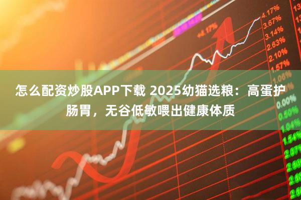 怎么配资炒股APP下载 2025幼猫选粮：高蛋护肠胃，无谷低敏喂出健康体质