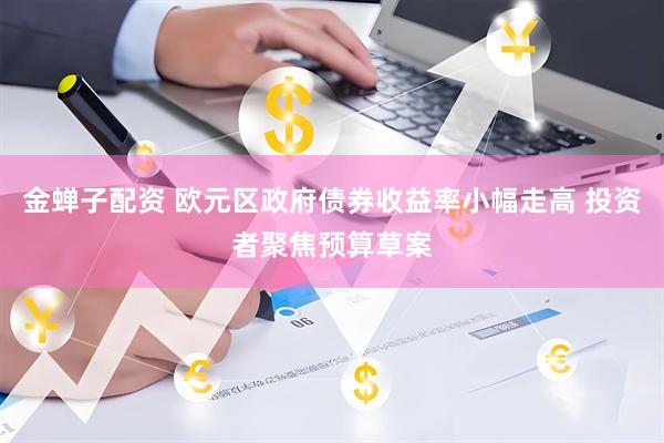 金蝉子配资 欧元区政府债券收益率小幅走高 投资者聚焦预算草案